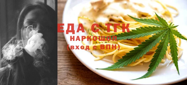 индика Киреевск