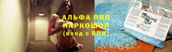 стафф Касимов