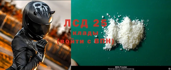 индика Киреевск