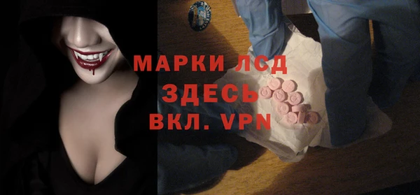 стафф Касимов