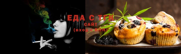 индика Киреевск