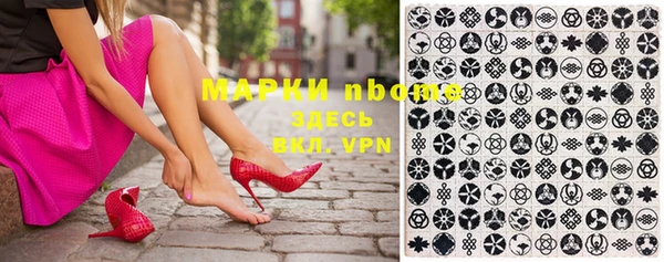 стафф Касимов