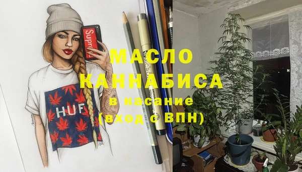 стафф Касимов