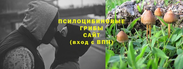 ПСИЛОЦИБИНОВЫЕ ГРИБЫ Карпинск